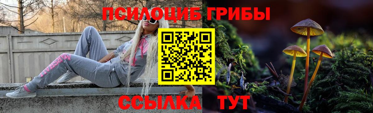 Псилоцибиновые грибы ЛСД Мценск