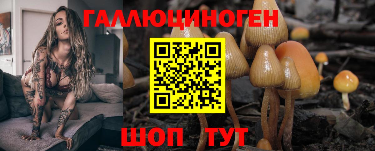 Галлюциногенные грибы ЛСД  Вход с VPN  наркота  Мценск 